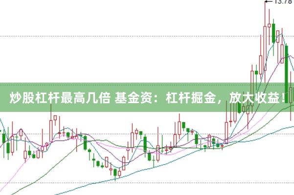 炒股杠杆最高几倍 基金资：杠杆掘金，放大收益！