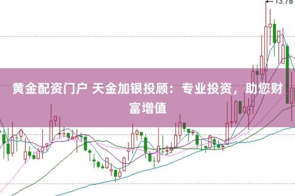 黄金配资门户 天金加银投顾：专业投资，助您财富增值