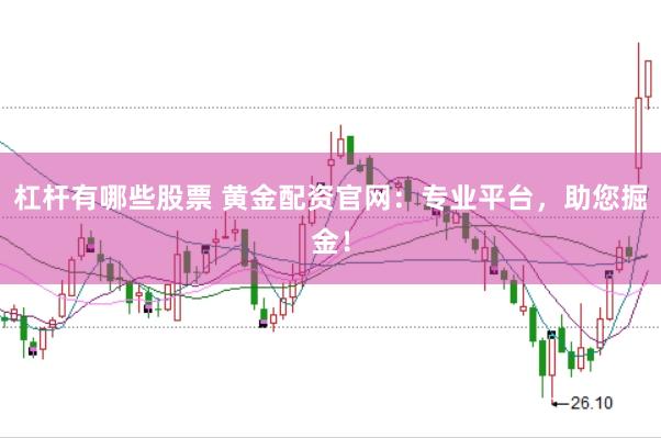 杠杆有哪些股票 黄金配资官网：专业平台，助您掘金！