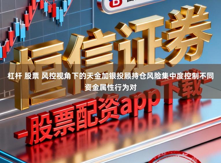 杠杆 股票 风控视角下的天金加银投顾持仓风险集中度控制不同资金属性行为对