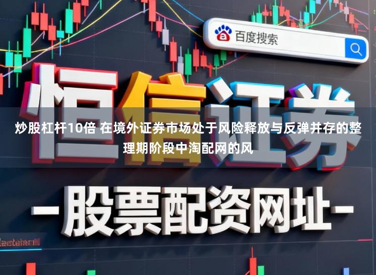 炒股杠杆10倍 在境外证券市场处于风险释放与反弹并存的整理期阶段中淘配网的风