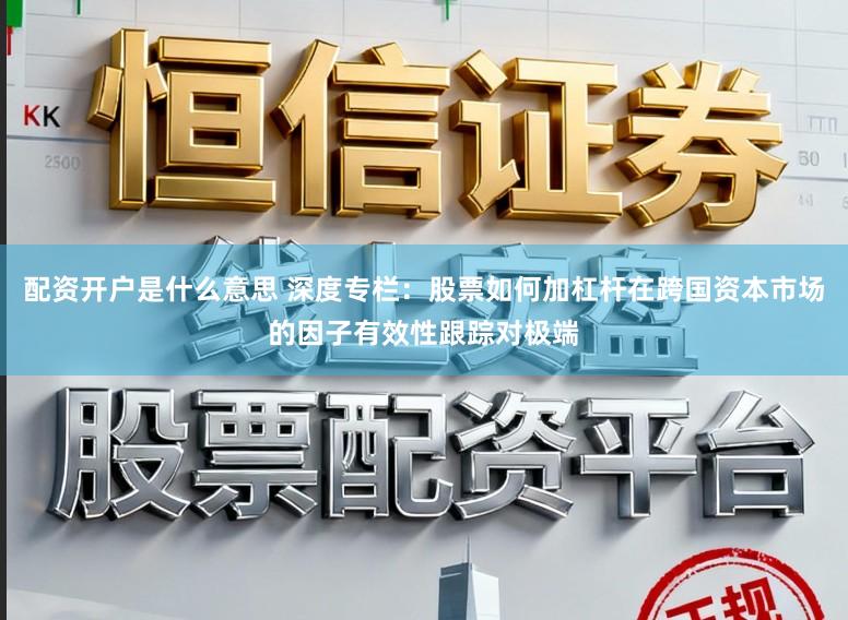 配资开户是什么意思 深度专栏：股票如何加杠杆在跨国资本市场的因子有效性跟踪对极端