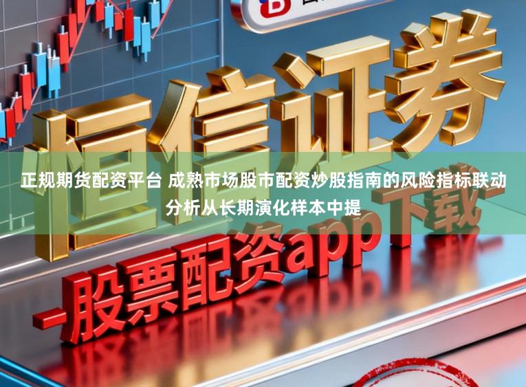 正规期货配资平台 成熟市场股市配资炒股指南的风险指标联动分析从长期演化样本中提